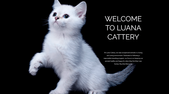 Website screenshot luanacattery.com